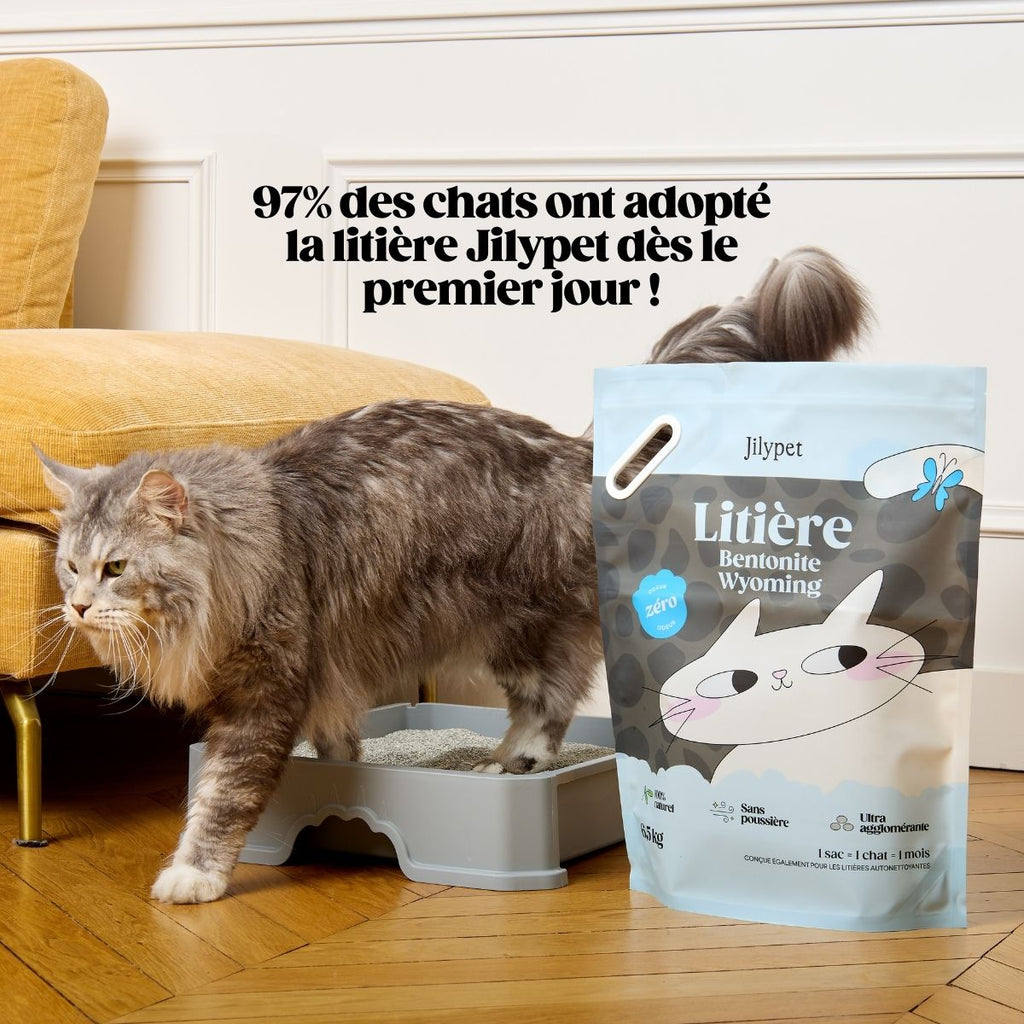 Litière minérale agglomérante 100 % naturelle
