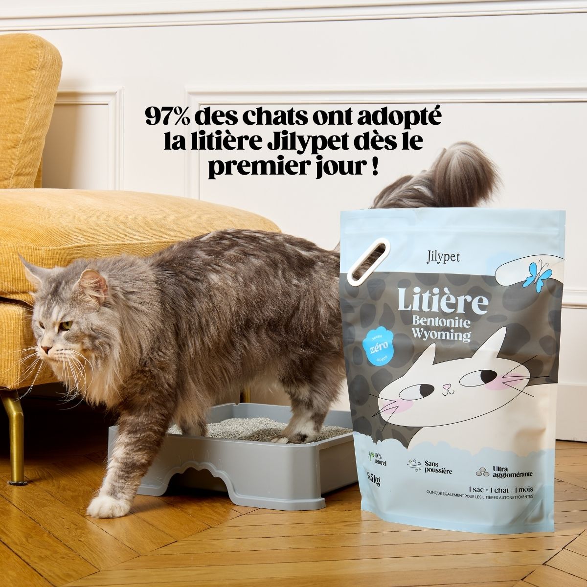 Litière minérale agglomérante 100 % naturelle