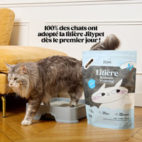 Chat utilisant la litière Jilypet naturelle et agglomérante dans son bac.